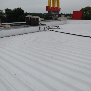 WhatsApp Image 2025-01-21 at 23.26.18 (1)