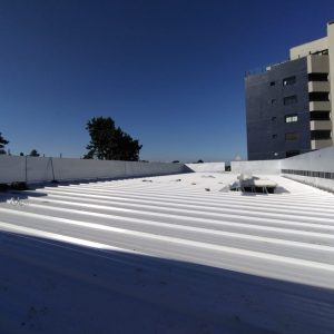 WhatsApp Image 2025-01-21 at 23.26.19 (1)