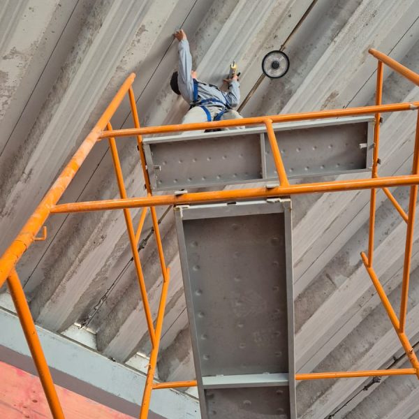 WhatsApp Image 2025-01-22 at 00.06.21